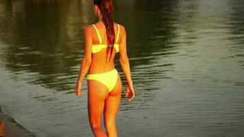 menina com lindo nádegas anda em às a de praia dentro a verão video