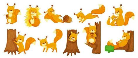 Cartoon cute squirrels sleeping, jumping, sitting on branch. Happy squirrel holding acorn, forest wildlife animal, woodland mascot vector set