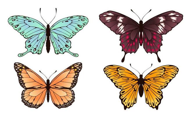 Collectiion of beautiful butterflies flying, set of insects