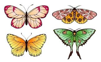 Spring butterflies flying with patterned colored wings vector