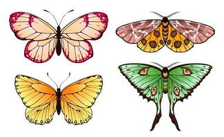 Spring butterflies flying with patterned colored wings vector