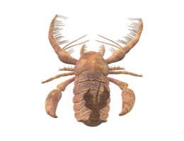 jaekelopterus isolé sur une transparent Contexte png