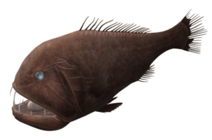 fangtand fisk isolerat på en transparent bakgrund png