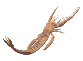 jaekelopterus geïsoleerd Aan een transparant achtergrond png