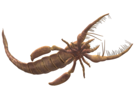 Jaekelopterus isolated on a Transparent Background png