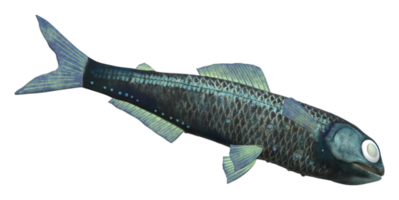 Laternenfisch isoliert auf ein transparent Hintergrund png