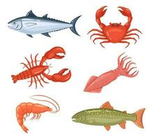 dibujos animados fruto de mar. Fresco pez, langosta, cangrejo y rojo atún. crudo productos para tienda o restaurante. sano comida como camarones vector