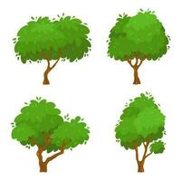 Cartoon green trees. Spring or summer plant with foliage for park, garden or forest. Botanical greenery for environment vector