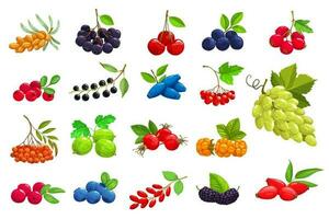 Cartoon ripe berries vector isolated icons set