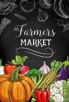 Farmers market vegetables, greenery vector banner