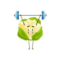 Cartoon cauliflower vegetable workout with barbell vector