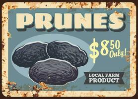 Prunes dried plums fruits rusty metal plate, food vector