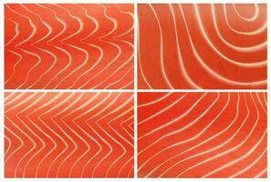 Salmon trout fish meat texture background set vector