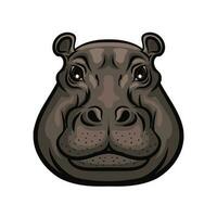 Hippopotamus animal wild muzzle head, isolated vector