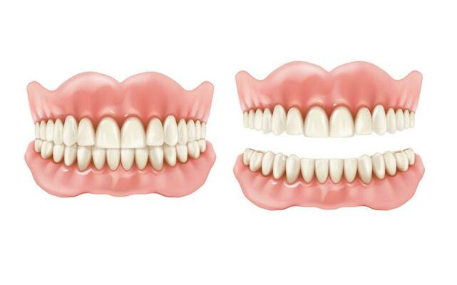 Denture, dental teeth and jaw realistic prosthesis