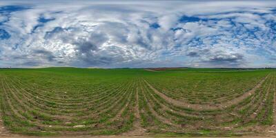 360 hdri panorama on green grass farming field with clouds on overcast sky before sunset in equirectangular spherical seamless projection, use as sky replacement in drone panoramas, game development photo