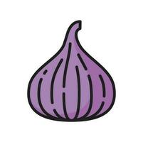 Purple common fig, raw fruit berry line icon vector