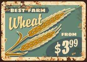 Wheat rusty metal plate, vector farm promotion