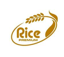 Rice icon, grain food, organic agriculture product vector