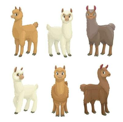 Lama, alpaca, guanaco, llama and vicuna animals