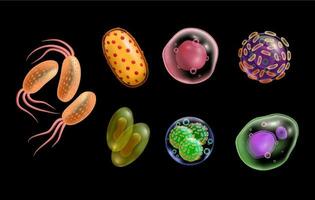 Viruses and bacteria realistic microscopic cells vector