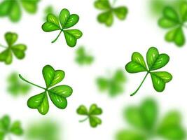 Shamrock on white background with blurred effect. vector