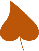 Autumn tree leaf orange color. png