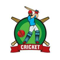 Cricket game icon with striking batsman and ball vector