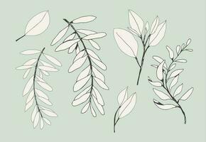 set of hand-drawn leaves. vector