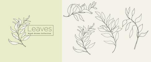 vintage styled leaves collection. vector