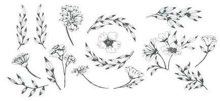 Hand-drawn vintage styled Botanicals collection vector