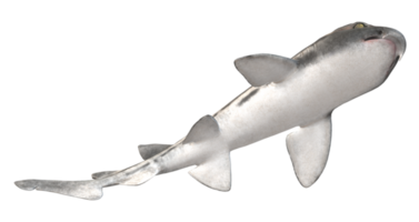 Schlafanzug Hai isoliert auf ein transparent Hintergrund png