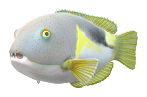 défense poisson isolé sur une transparent Contexte png