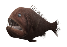 Fangtooth Fish isolated on a Transparent Background png