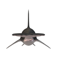 hamer hoofd haai geïsoleerd Aan een transparant achtergrond png