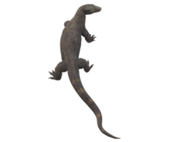 komodo Drachen isoliert auf ein transparent Hintergrund png