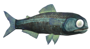 Lanternfish isolated on a Transparent Background png