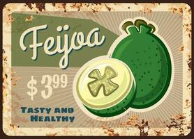 feijoa rusty metal plate, vector vintage tin sign