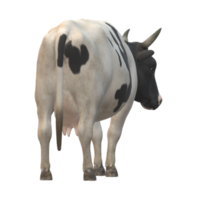 vaca aislado en un transparente antecedentes png