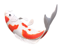 koi carpe poisson isolé sur une transparent Contexte png