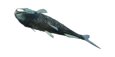 Lanternfish isolated on a Transparent Background png