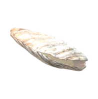 oester geïsoleerd Aan een transparant achtergrond png