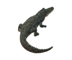 Alligator isoliert auf ein transparent Hintergrund png