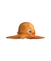 flapjack bläckfisk isolerat på en transparent bakgrund png