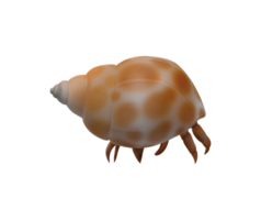 eremita caranguejo isolado em uma transparente fundo png