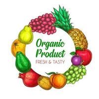 Tropical fruits organic farm round vector banner