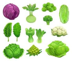 Cartoon cabbage and cauliflower vegetables vector