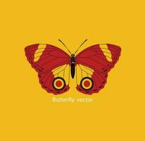 Butterfly vector file and Editable file