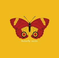 Butterfly vector file and Editable file