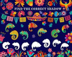 Find correct chameleon shadow kids riddle game vector